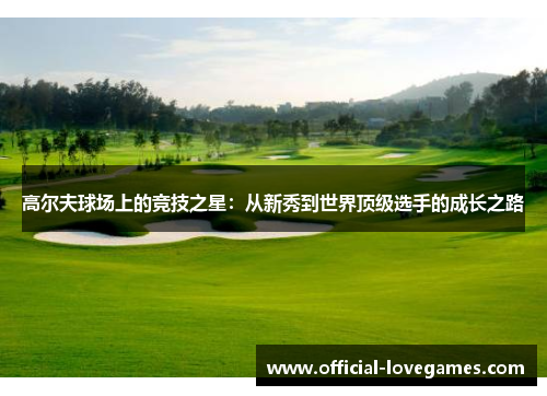 高尔夫球场上的竞技之星：从新秀到世界顶级选手的成长之路